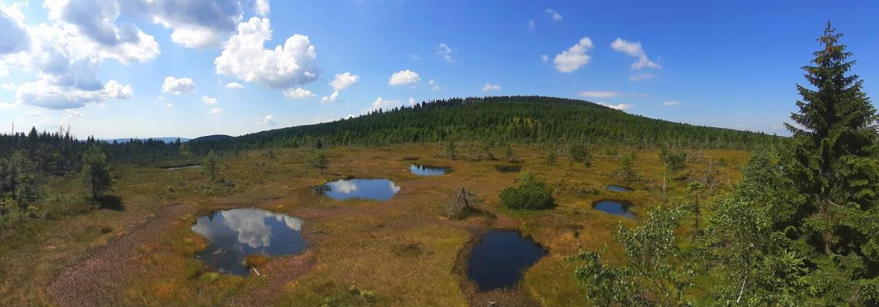 Penzion Jizerska Malina Bedřichov Екстериор снимка